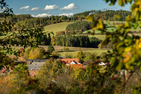DSC 5094