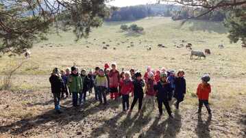 IMG 20211122 WA0019
