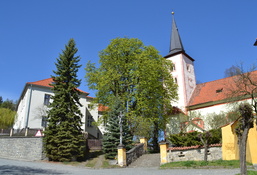 DSC 0007